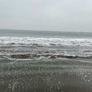 Meet your Posher, Al